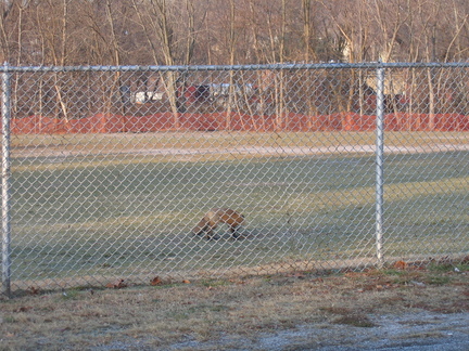 IMG 2759
